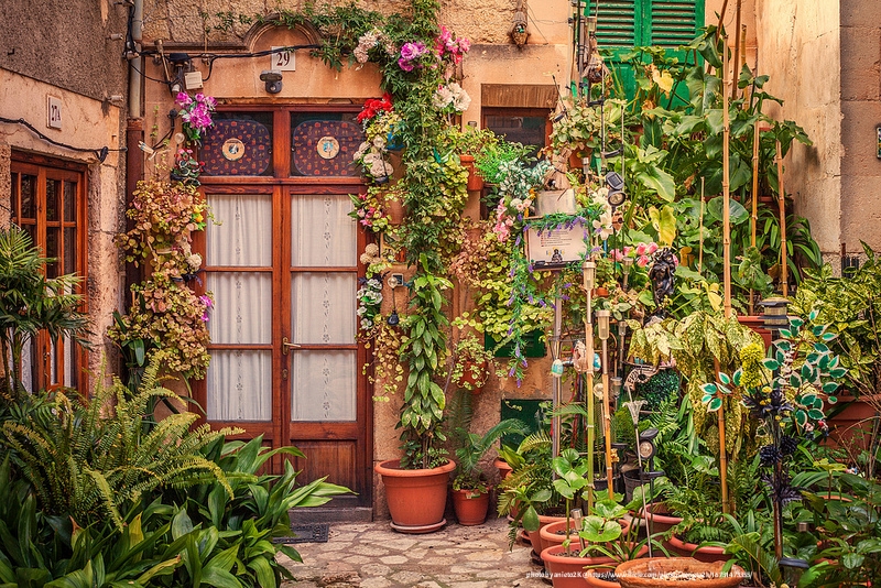 Container Gardening 101: Tips For Small Spaces