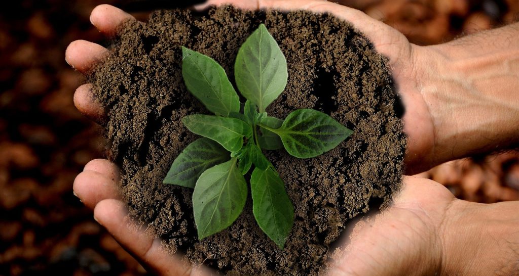 Eco-Friendly Gardening: Sustainable Practices For Every Gardener Eco-Friendly Gardening: Sustainable Practices For Every Gardener