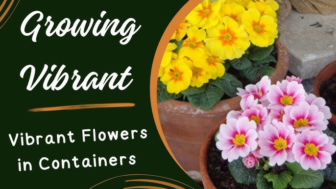 Flower Power: Best Tips For Growing Vibrant Blooms Flower Power: Best Tips For Growing Vibrant Blooms