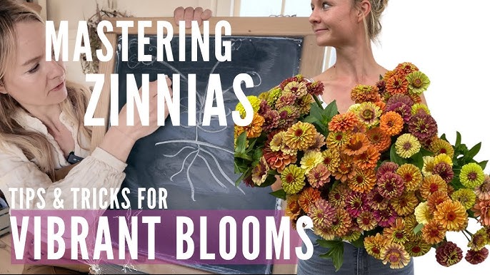 Flower Power: Best Tips For Growing Vibrant Blooms Flower Power: Best Tips For Growing Vibrant Blooms