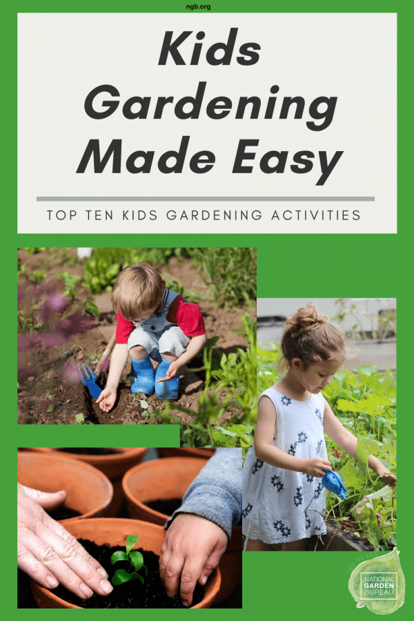 Gardening For Kids: Fun Activities And Easy Plants Gardening For Kids: Fun Activities And Easy Plants