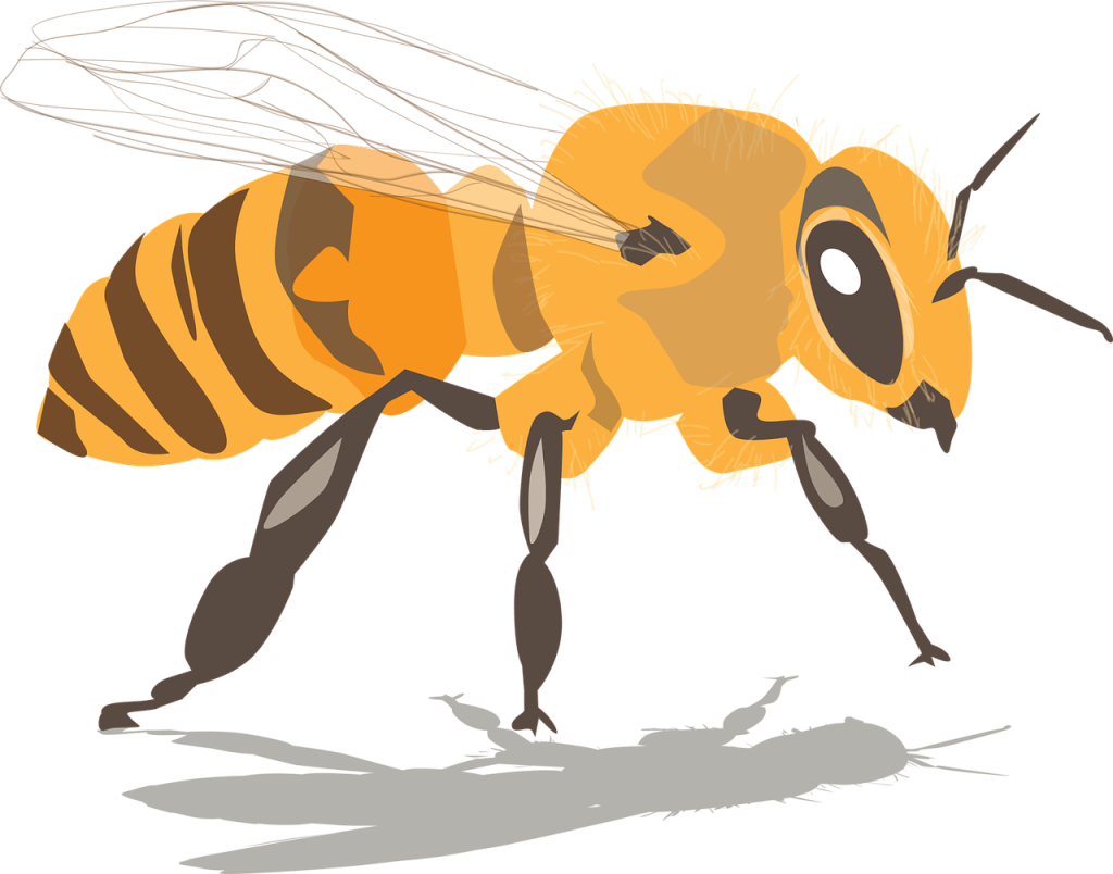 How To Attract Pollinators To Your Garden How To Attract Pollinators To Your Garden