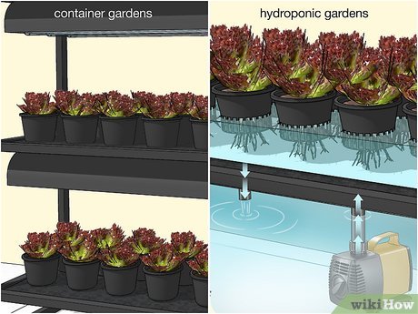 How To Create A Thriving Indoor Garden