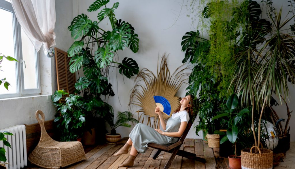 How To Create A Thriving Indoor Garden