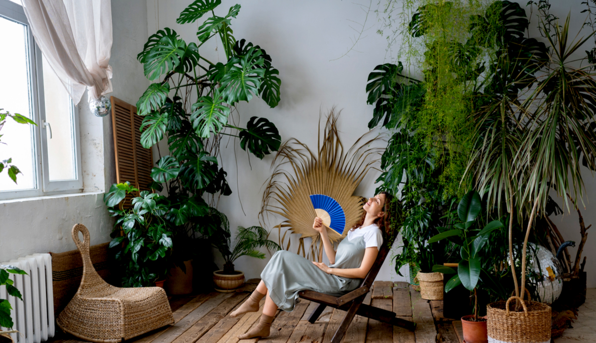 How To Create A Thriving Indoor Garden