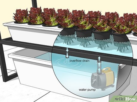 How To Create A Thriving Indoor Garden