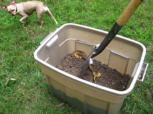 How To Start A Compost Bin At Home