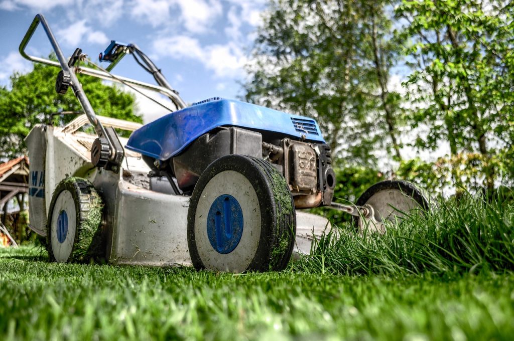 Pest Control In The Garden: Natural And Effective Solutions