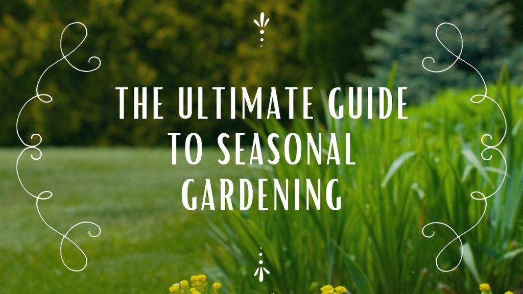 Seasonal Gardening Tips: What To Plant Each Season Seasonal Gardening Tips: What To Plant Each Season
