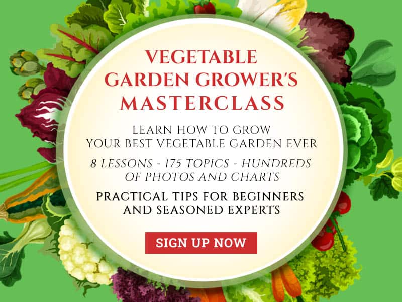 Seasonal Gardening Tips: What To Plant Each Season Seasonal Gardening Tips: What To Plant Each Season