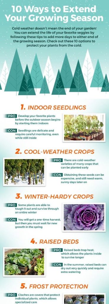 Seasonal Gardening Tips: What To Plant Each Season Seasonal Gardening Tips: What To Plant Each Season