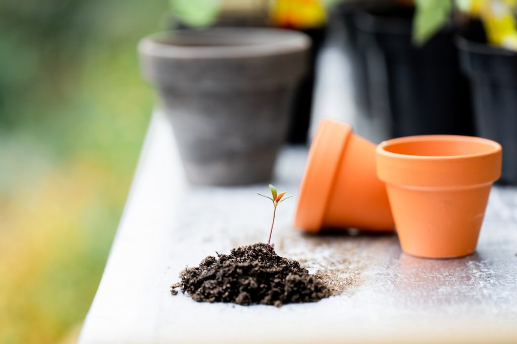 Soil Health 101: Building The Foundation For A Great Garden