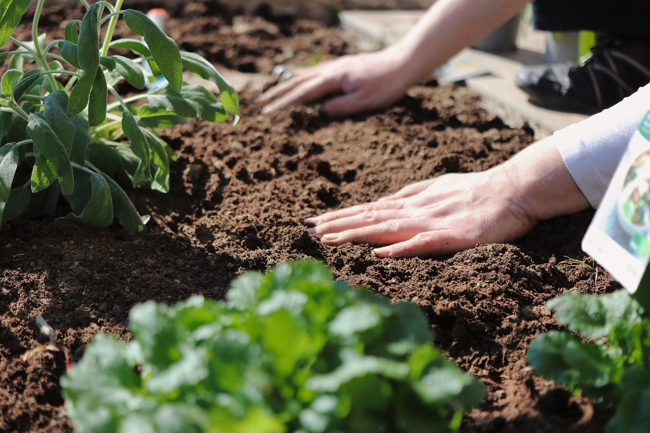 Soil Health 101: Building The Foundation For A Great Garden