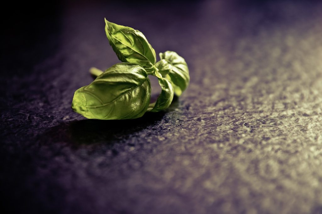 The Ultimate Guide To Growing Herbs At Home