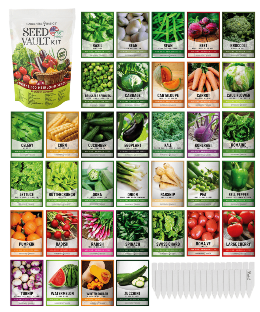 Vegetable Gardening Basics: From Seed To Harvest Vegetable Gardening Basics: From Seed To Harvest