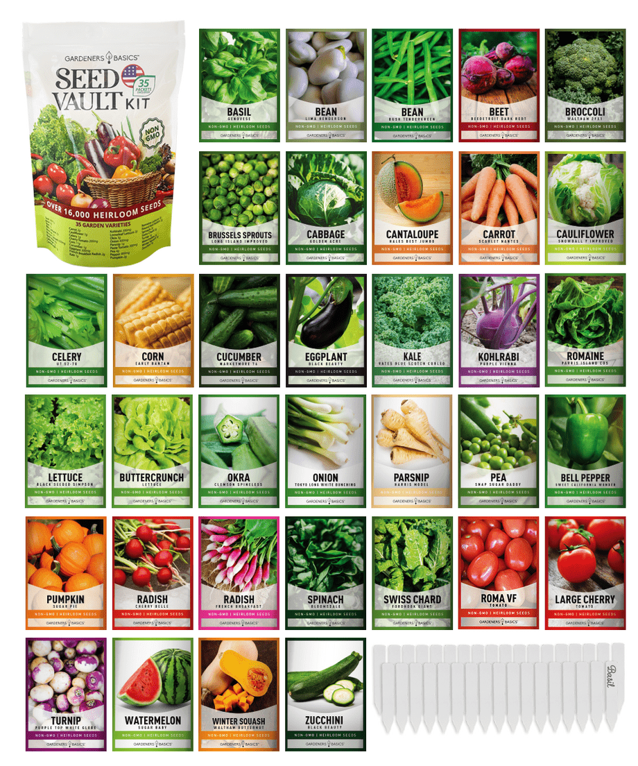 Vegetable Gardening Basics: From Seed To Harvest