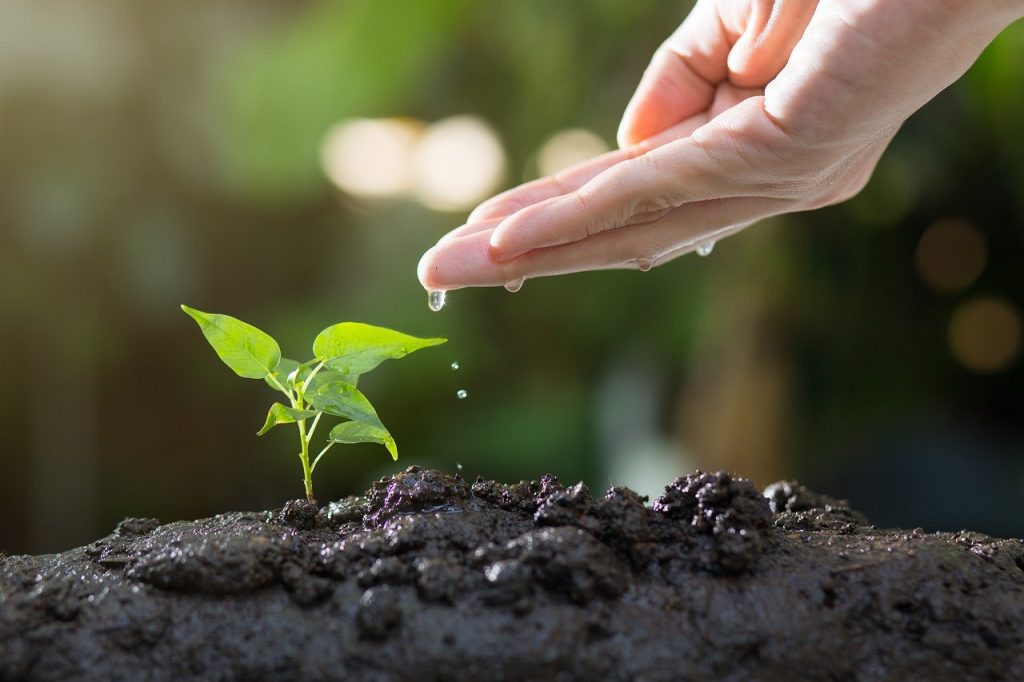 Balcony Gardening: Tips For Urban Spaces Balcony Gardening: Tips For Urban Spaces
