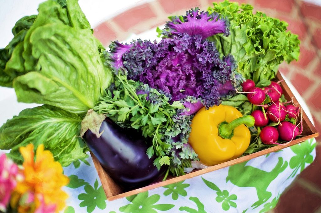 Balcony Gardening: Tips For Urban Spaces Balcony Gardening: Tips For Urban Spaces