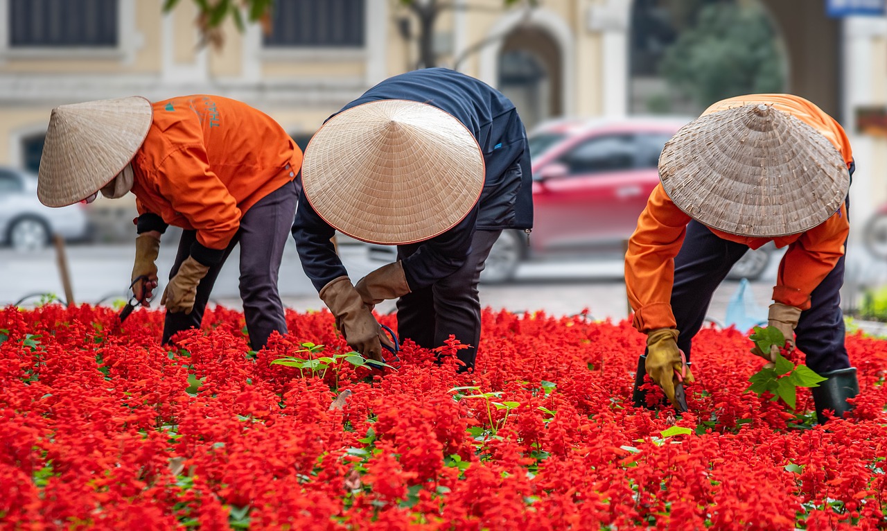 Balcony Gardening: Tips For Urban Spaces