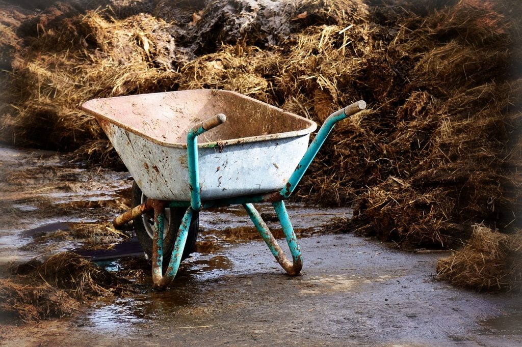 Choosing The Right Fertilizer For Your Garden Choosing The Right Fertilizer For Your Garden