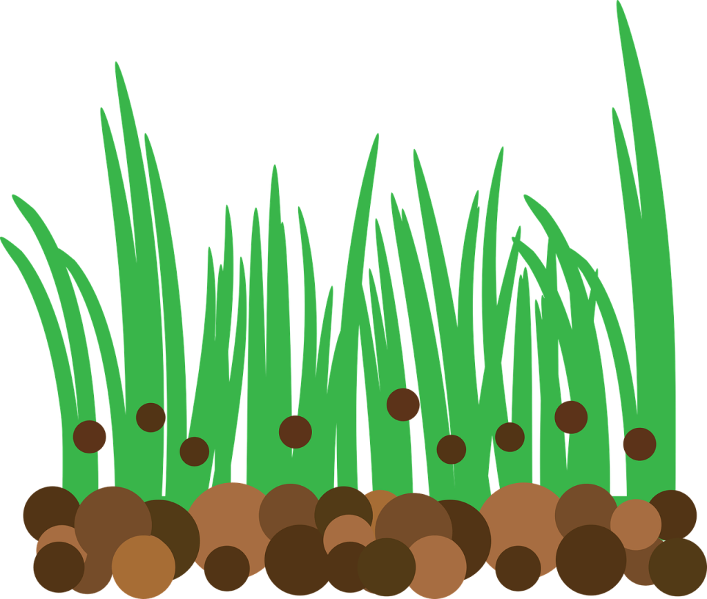 Choosing The Right Fertilizer For Your Garden Choosing The Right Fertilizer For Your Garden