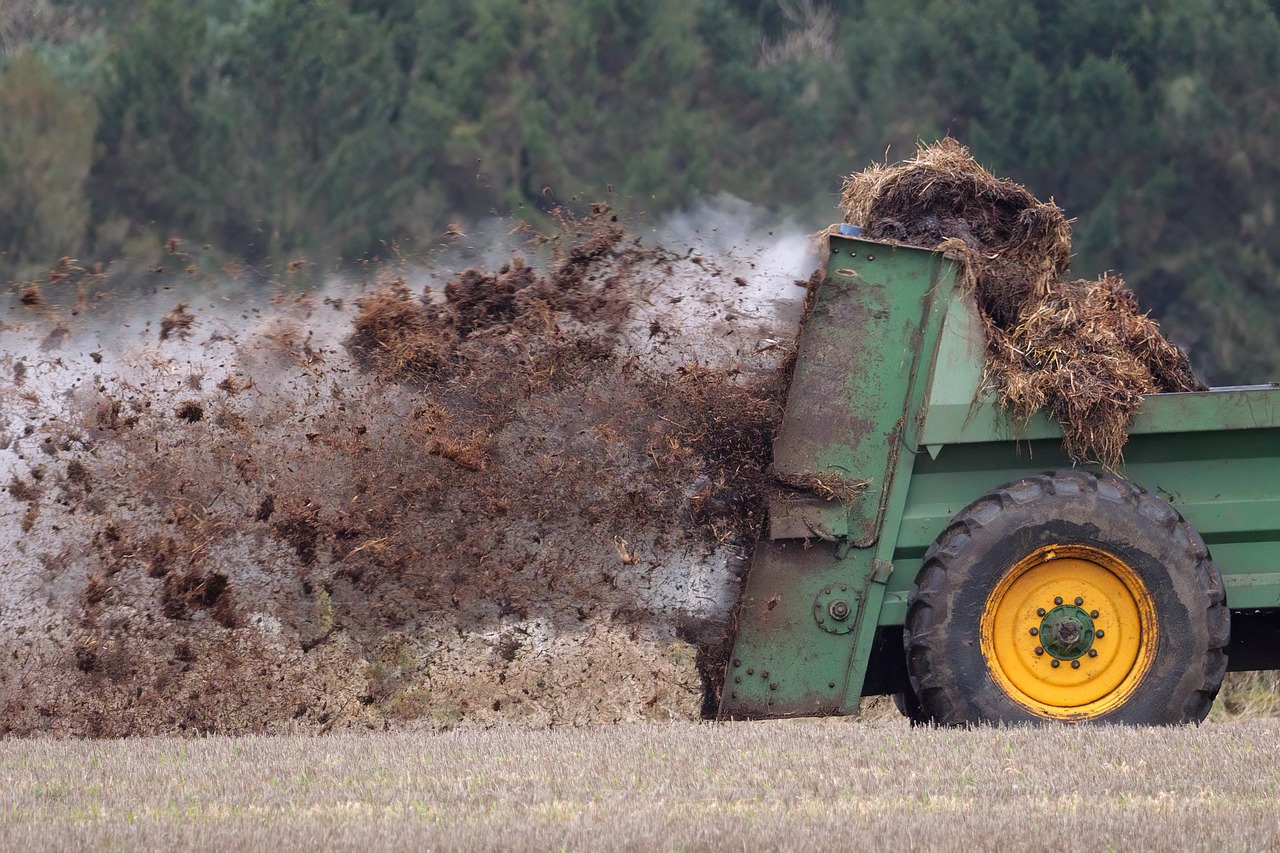Choosing The Right Fertilizer For Your Garden