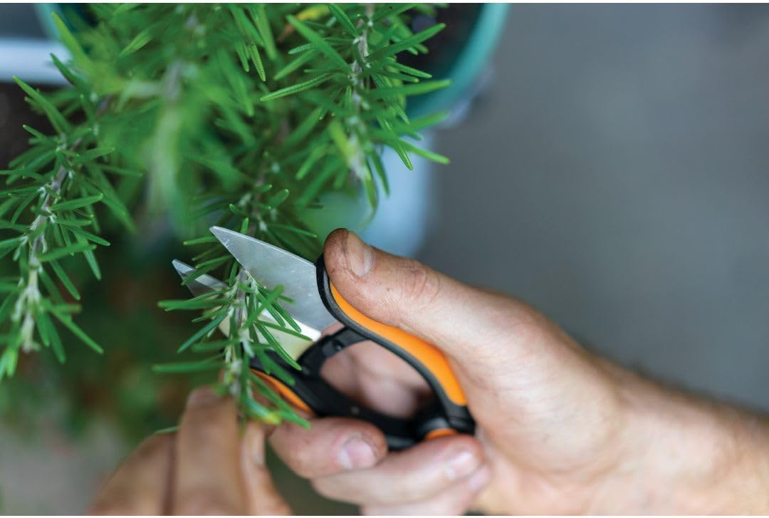 Fiskars Herb Scissors Review