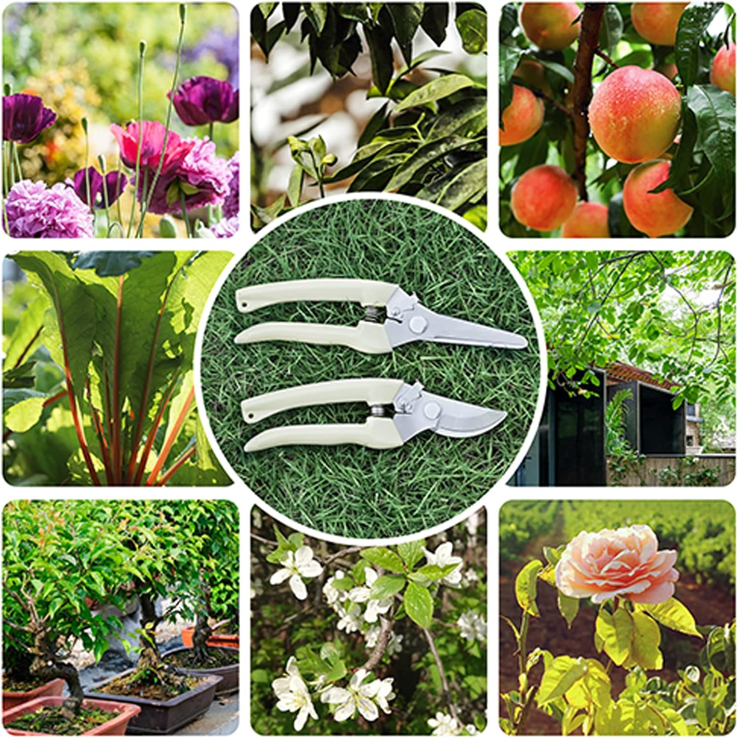 Garden Clippers Review
