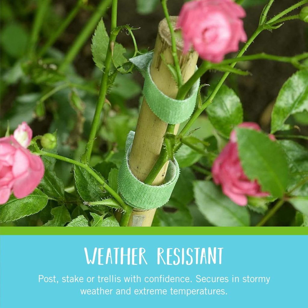 VELCRO Brand VEL-30071-USA ONE-WRAP Garden Ties | Plant Supports for Effective Growing | Strong Grips are Reusable and Adjustable | Cut-to-Length, 50 ft x 1/2 in, Green-Recycled Plastic VELCRO Brand VEL-30071-USA ONE-WRAP Garden Ties | Plant Supports for Effective Growing | Strong Grips are Reusable and Adjustable | Cut-to-Length, 50 ft x 1/2 in, Green-Recycled Plastic